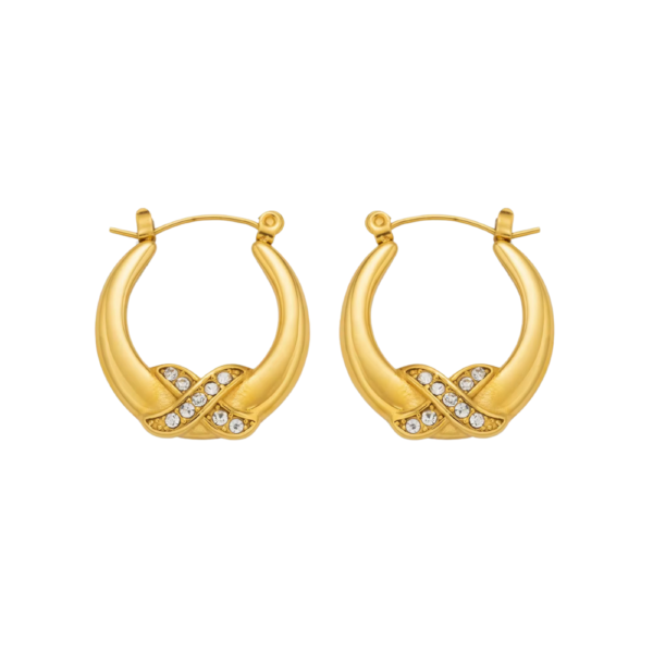 gold plated stainless steel hoops earrings hypoallergenic anti tarnish waterproof tarnish free jewellery earrings